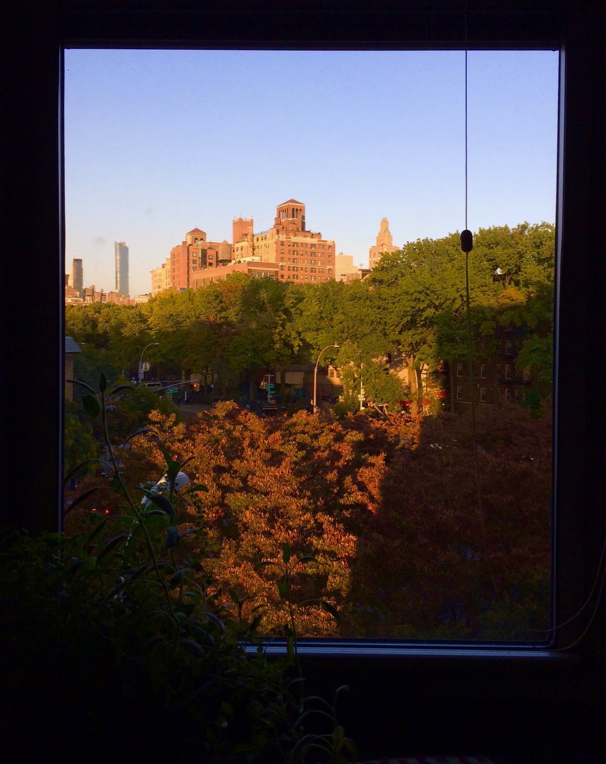 Echo From The Cave 137 PROJECT SAHASRARA MAHAYOGI YOGA MISSION